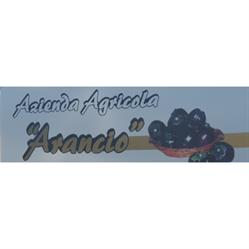 Azienda Agricola Arancio