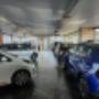 Gallery Professionale