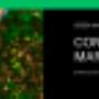Green Marketing
