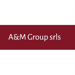 A e M Group