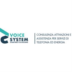 Voice System