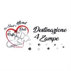 Destinazione 4 Zampe