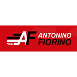 Transfer Trapani Fiorino N.C.C.