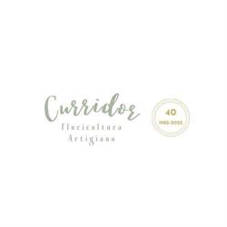 Agricola Curridor