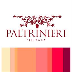 Paltrinieri
