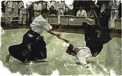 Daito-Ryu Aikijujutsu