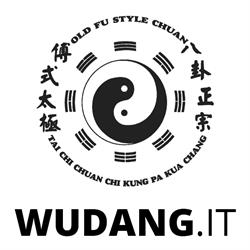 Wudang Fu Style Academy