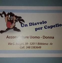 Un diavolo per capello di gori monica