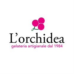 L'orchidea gelateria
