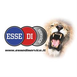 Essedi Service S.R.L.
