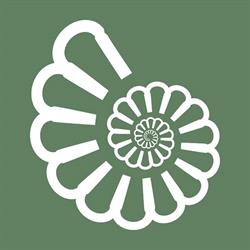 Scuola di Psicoterapia Coirag Padova