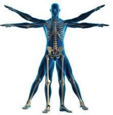 Fitness Akademy Gym e Fitness Centre