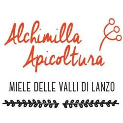 Alchimilla Apicoltura