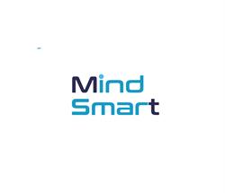 MIND SMART SRL