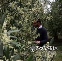 Azienda agricola Zagaria Natale