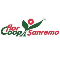 FLORCOOP SANREMO SOC COOP AGRICOLA