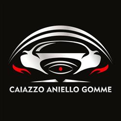 Team Aniel Gomme srl