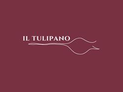 Il Tulipano