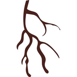 Ristorante Le Rais - i sapori della diversità