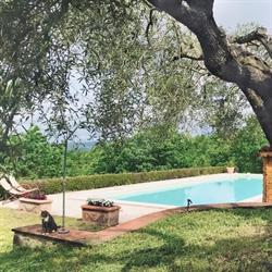 Agriturismo La Coccinella