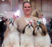SHIH TZU Solo Per I Tuoi Occhi di Marilena Filogrosso