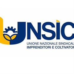 Caf Unsic Cremona