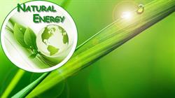 Natural Energy srl