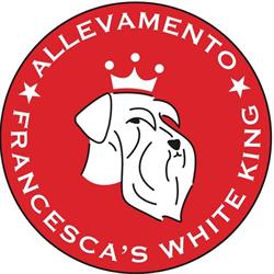 Francesca's WHITE KING allevamento e toelettatura