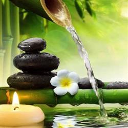 Shanti - studio di consulenza olistica, ayurvedica e naturopatica
