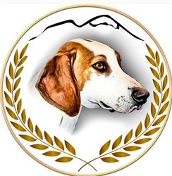 Allevamento ' DI CASA DALU ' ENCI. FCI.