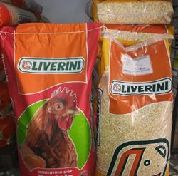 Agrifarm del Vulture