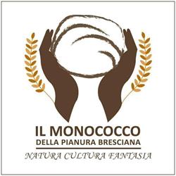 Pizzeria Monococco