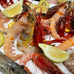 Osteria IL Trabaccolo