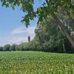 Azienda Agricola Rossetto