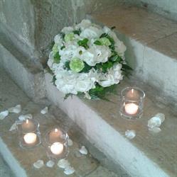 I Fiori Nel Tempo