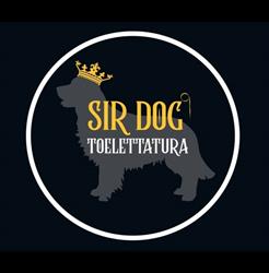 Sir Dog