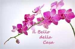 Il Bello Della Casa