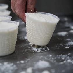 Le Delizie del Casaro