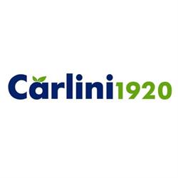Carlini frutta Srl - Verona