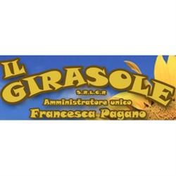 Il Girasole dei Nonni