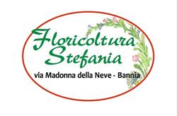 Floricoltura Stefania di Buligan Massimo & css