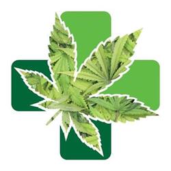 Pharma CBD Padova-Attivo distributore automatico cannabis H24