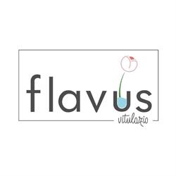 Flavus Vitulazio