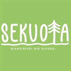 Sekuoia giardini