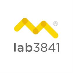Lab3841