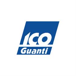 Icoguanti