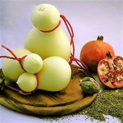 I Sapori della Puglia - Bologna