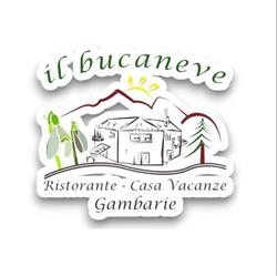 Il Bucaneve