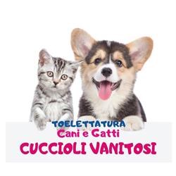 Cuccioli Vanitosi