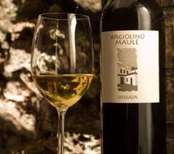 La Biancara società agricola di Maule Angiolino e Alessandro